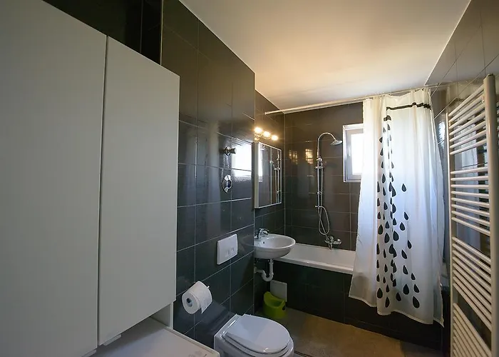 Apartment Olivero Brasov