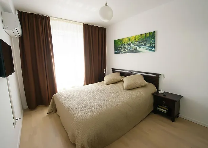 Apartment Olivero Brasov